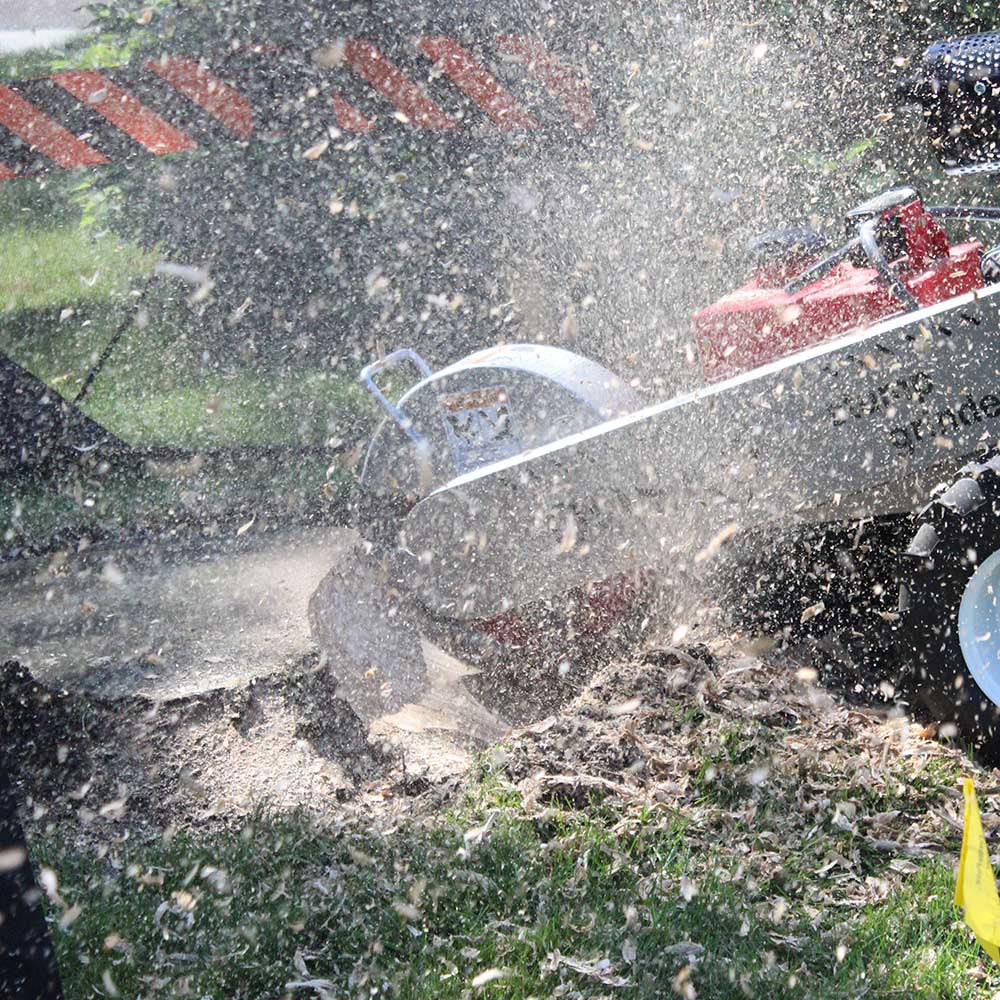 Dosko Stump Grinder (691SP-20HE) - Image 13